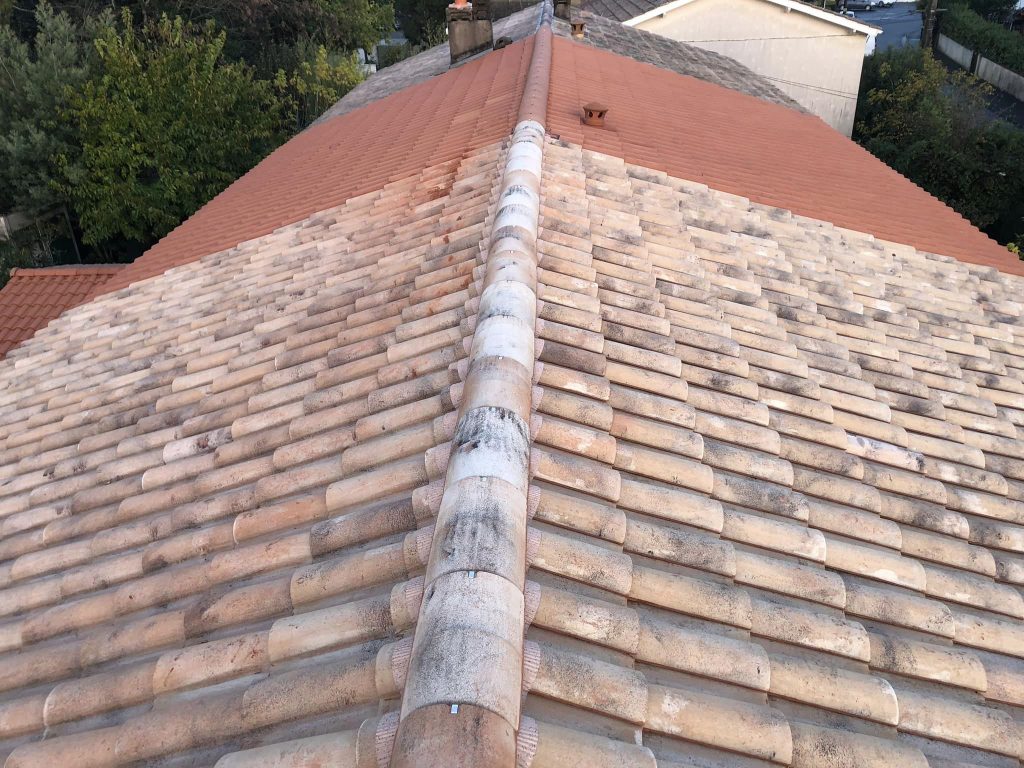 démoussage_toiture